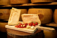 Parmigiano Reggiano 12 Mesi Fotogallery | CASEIFICIO SAN SALVATORE