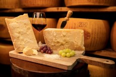 Parmigiano Reggiano 24 Mesi Fotogallery | CASEIFICIO SAN SALVATORE