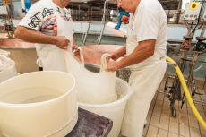  Fotogallery | CASEIFICIO SAN SALVATORE