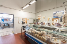  Fotogallery | CASEIFICIO SAN SALVATORE