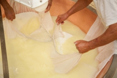  Fotogallery | CASEIFICIO SAN SALVATORE