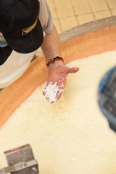  Fotogallery | CASEIFICIO SAN SALVATORE
