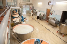  Fotogallery | CASEIFICIO SAN SALVATORE