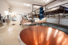  Fotogallery | CASEIFICIO SAN SALVATORE